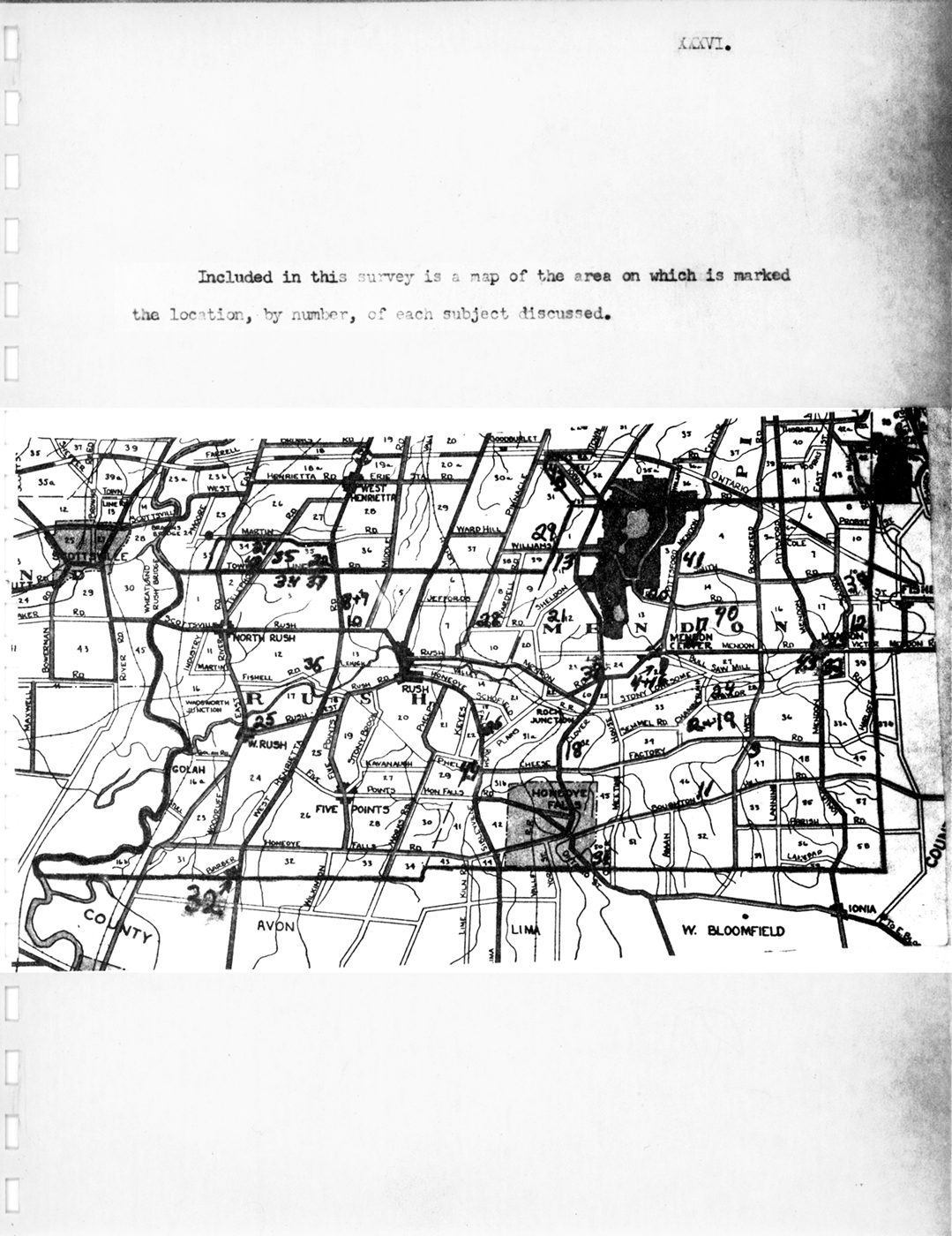 Wood Survey P36 19550618